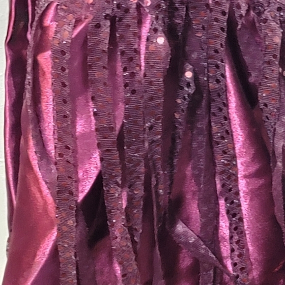 Flapper COSTUME dress and hat size 14 - 20 fringe glitter fun sparkly showgirl - Picture 10 of 12